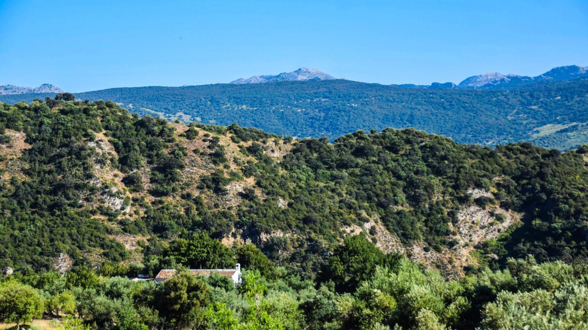 Resort Los Algarrobales