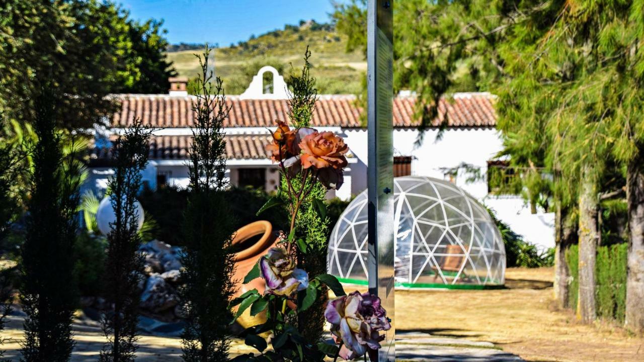 Los Algarrobales Resort 3*